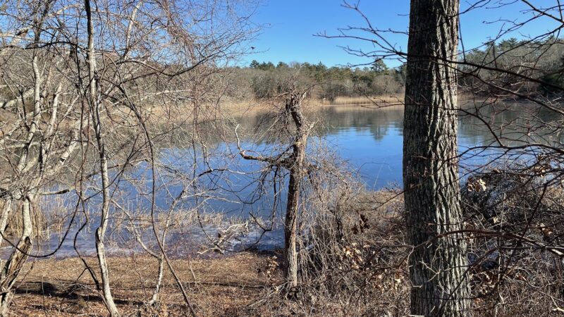 Little Island Pond - Plymouth, MA