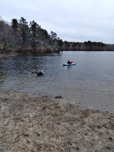 Little Island Pond - Plymouth, MA