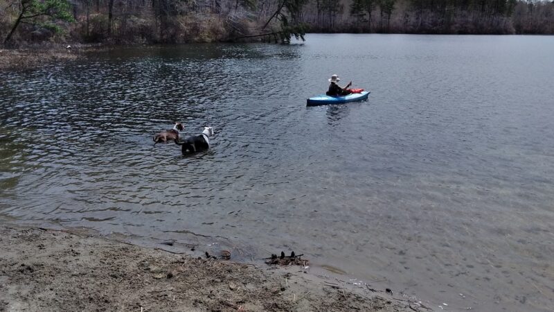 Little Island Pond - Plymouth, MA