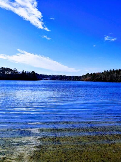 Morton Park - Plymouth, MA