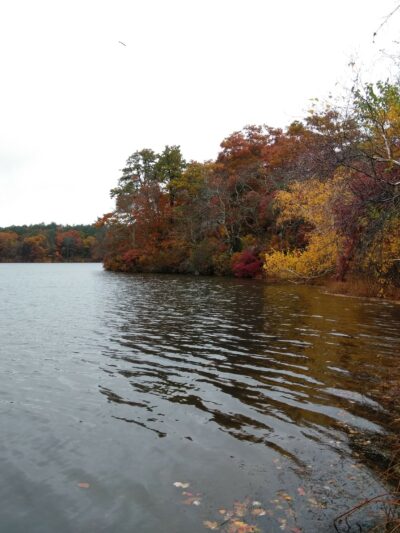 Morton Park - Plymouth, MA
