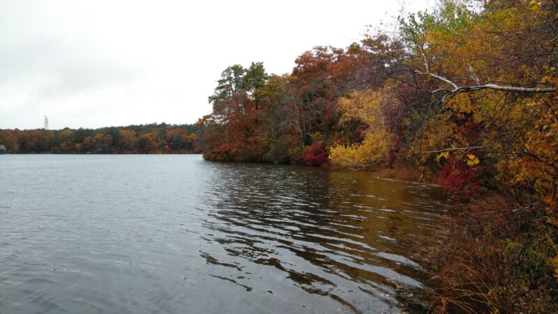Morton Park - Plymouth, MA