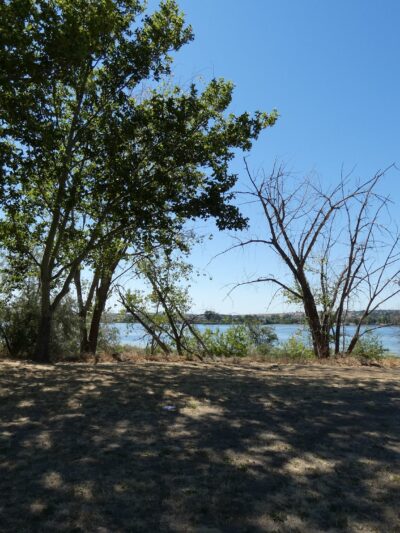 Plymouth Park East Parking Lot - Plymouth, WA