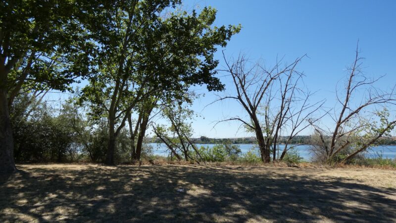 Plymouth Park East Parking Lot - Plymouth, WA