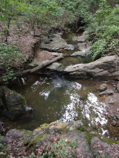 Thomas O. Marr City Park - Pocahontas, AR