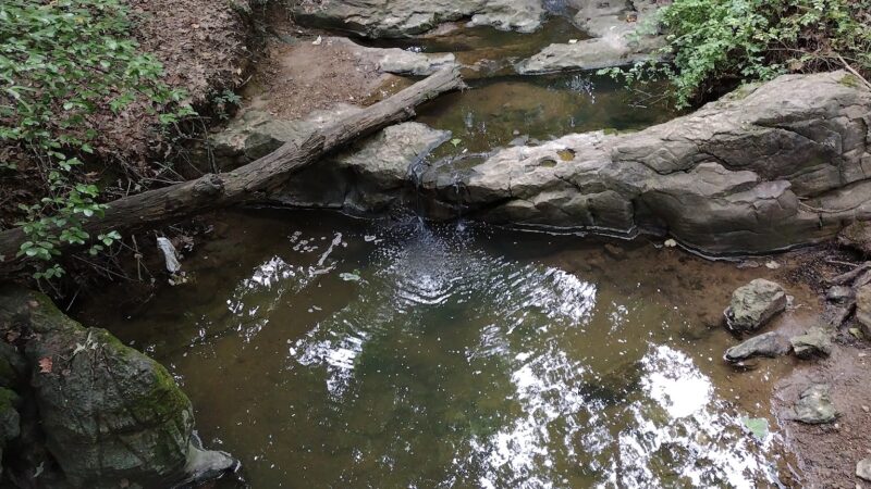 Thomas O. Marr City Park - Pocahontas, AR