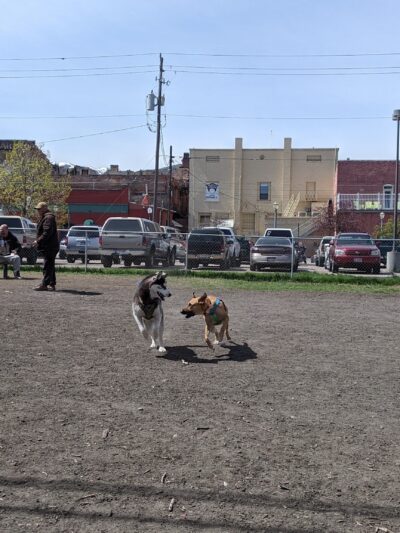 Old Town Bark Park - Pocatello, ID