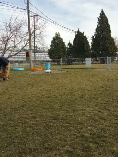 Old Town Bark Park - Pocatello, ID