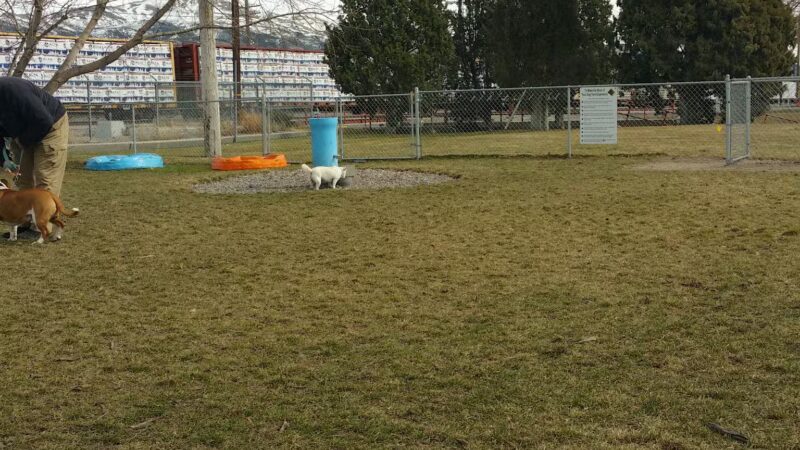 Old Town Bark Park - Pocatello, ID