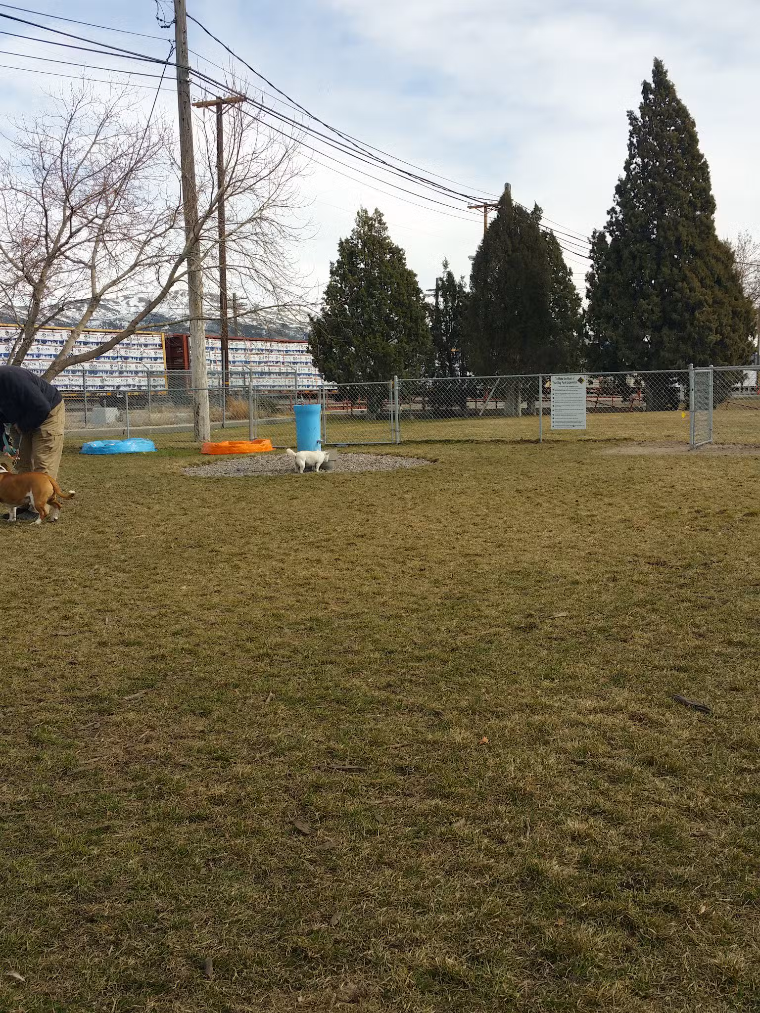 Old Town Bark Park - Pocatello, ID