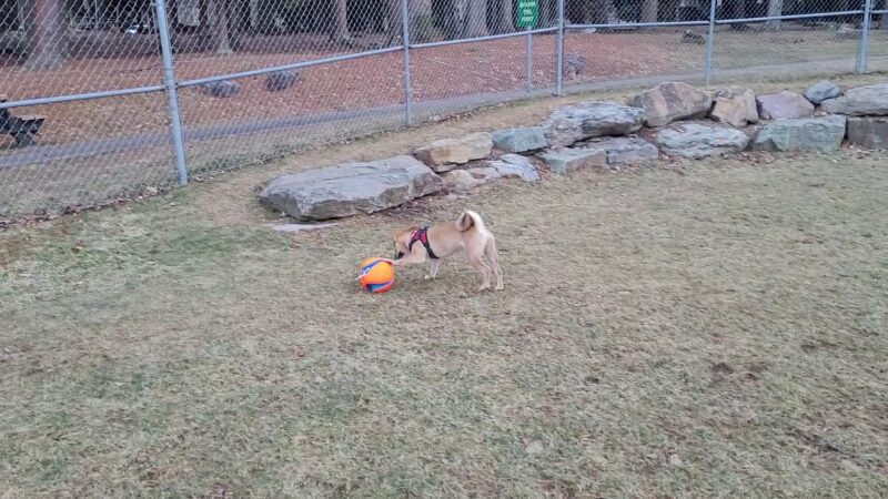 Blanche D. Price Memorial Park - Pocono Pines, PA