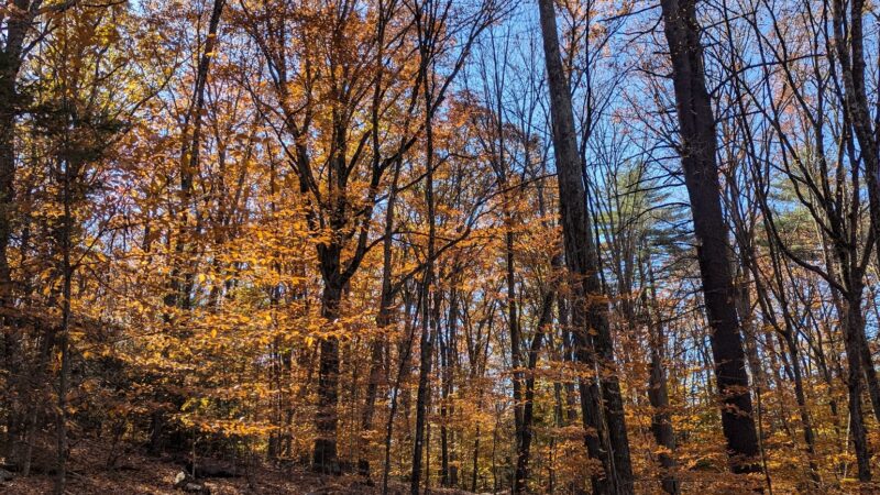 Learn Road Park - Pocono Township, PA