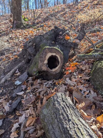 Learn Road Park - Pocono Township, PA