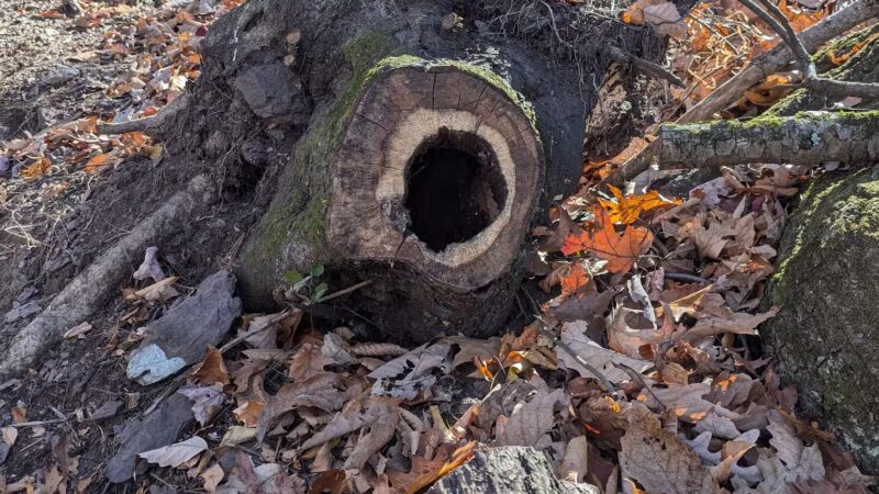 Learn Road Park - Pocono Township, PA