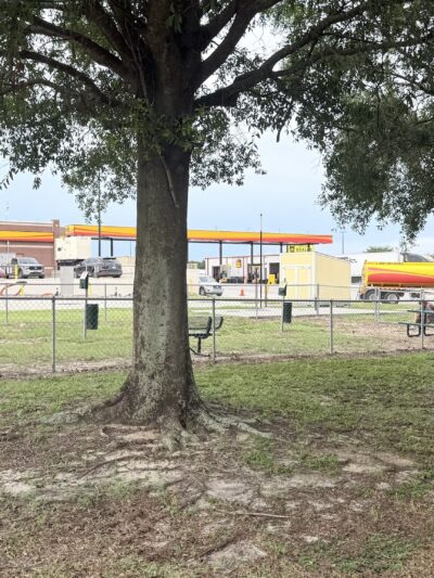Dog Park at Love's Travel Stops - Polk City, FL