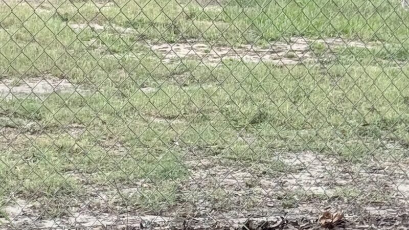 Dog Park at Love's Travel Stops - Polk City, FL