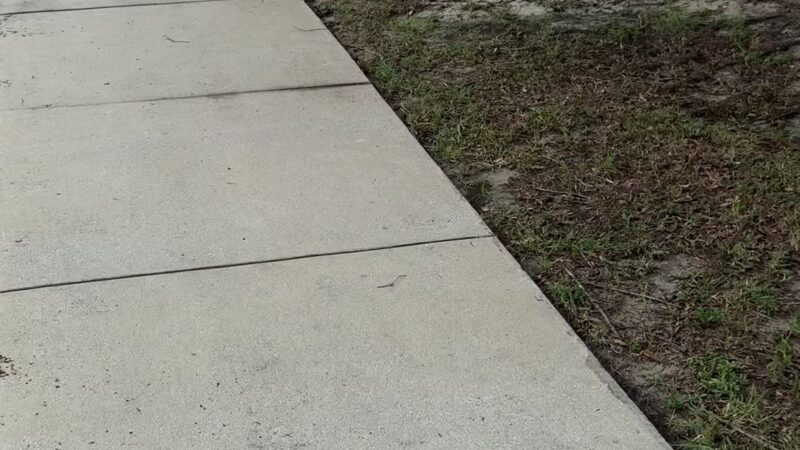Dog Park at Love's Travel Stops - Polk City, FL