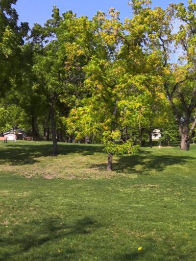 Doc Simmer Memorial Park - Polk City, IA