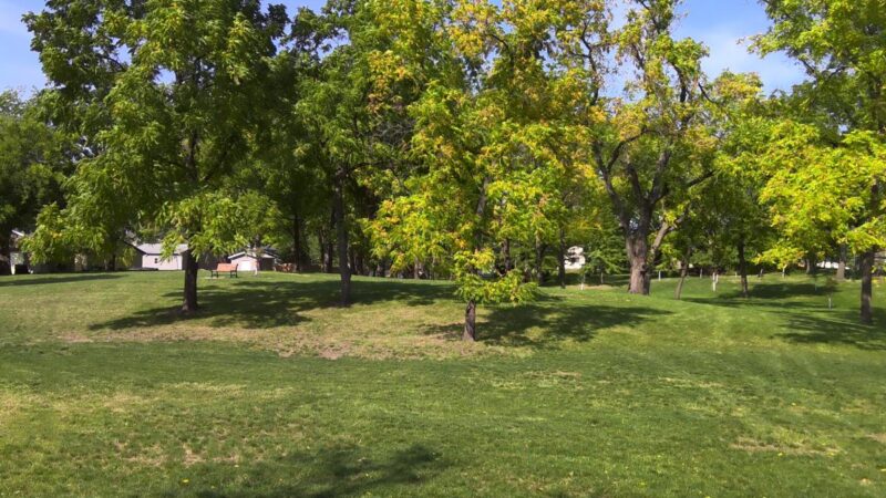 Doc Simmer Memorial Park - Polk City, IA