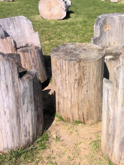 Morse Family Park - Polk City, IA