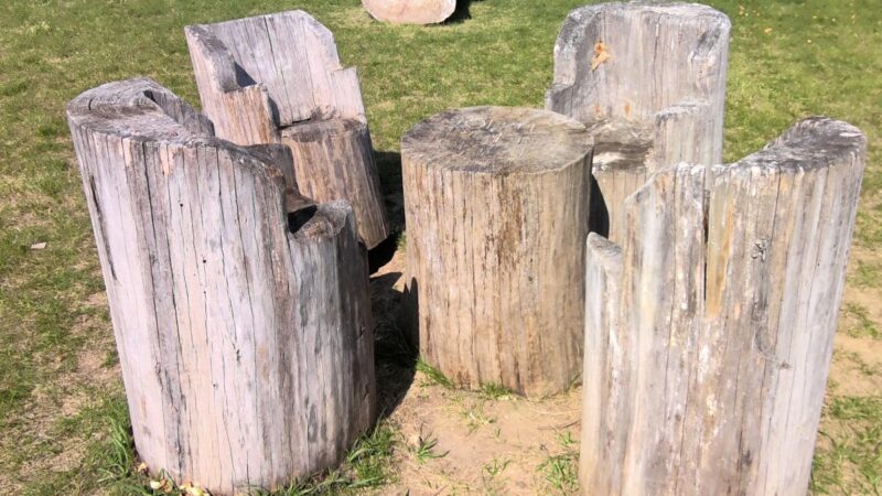 Morse Family Park - Polk City, IA