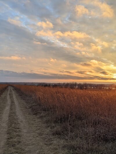 Red Feather Prairie - Polk City, IA