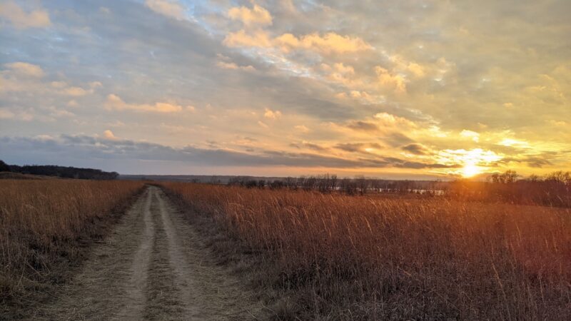 Red Feather Prairie - Polk City, IA