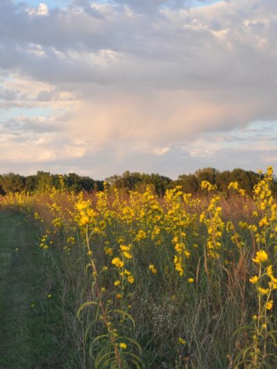 Red Feather Prairie - Polk City, IA