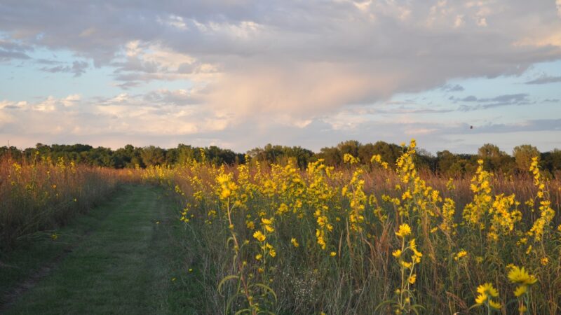 Red Feather Prairie - Polk City, IA
