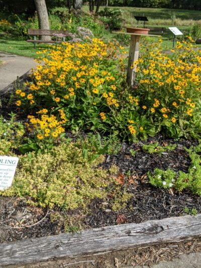 Saylorville Lake Butterfly Garden - Polk City, IA