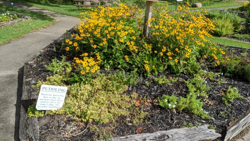 Saylorville Lake Butterfly Garden - Polk City, IA