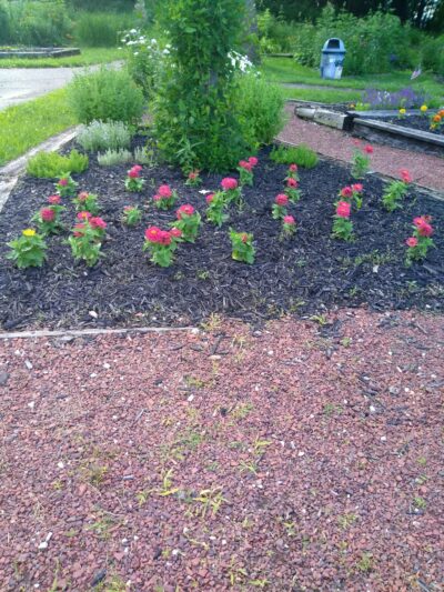Saylorville Lake Butterfly Garden - Polk City, IA
