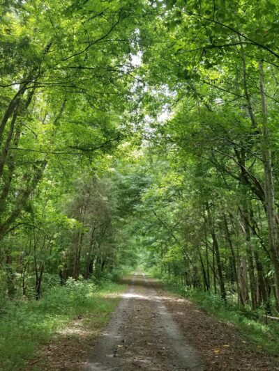 Peak To Prosperity Passage of the Palmetto Trail - Pomaria, SC