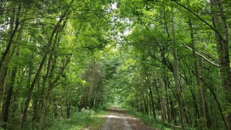 Peak To Prosperity Passage of the Palmetto Trail - Pomaria, SC