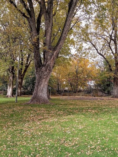 Pomeroy City Park - Pomeroy, WA