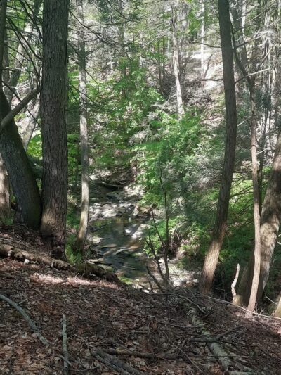 Hiking Trail - Pomfret Center, CT