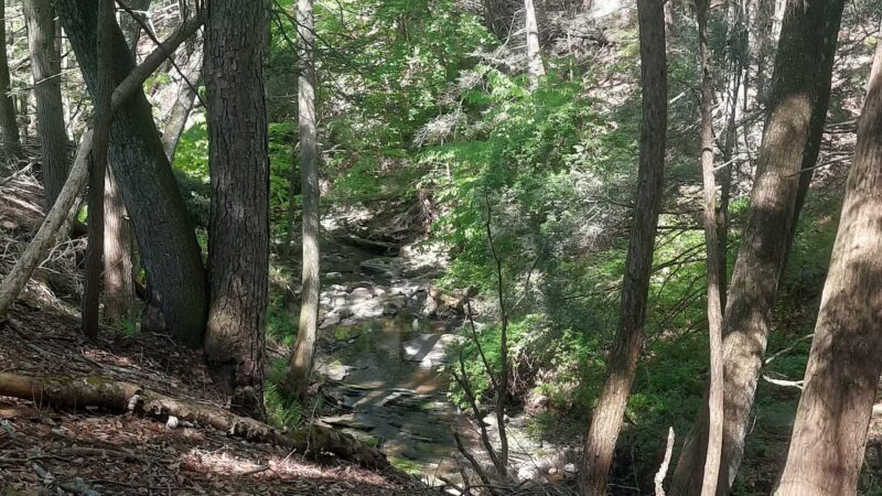 Hiking Trail - Pomfret Center, CT