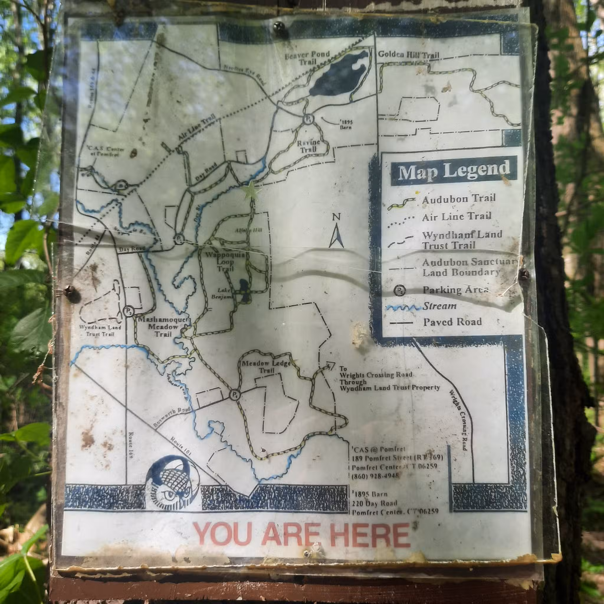 Hiking Trail - Pomfret Center, CT