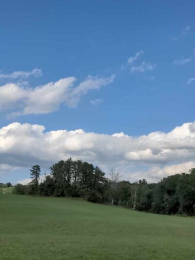 Hiking Trail - Pomfret Center, CT