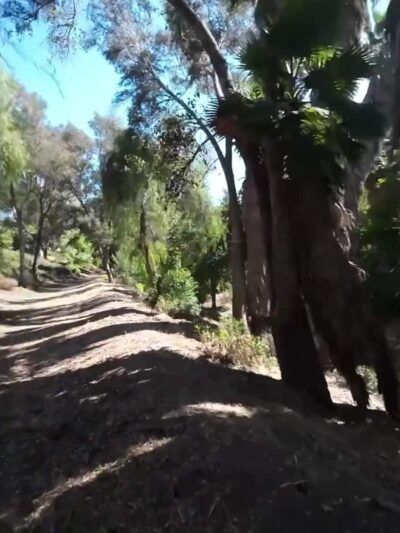 Phillips Ranch Riparian Greenbelt - Pomona, CA