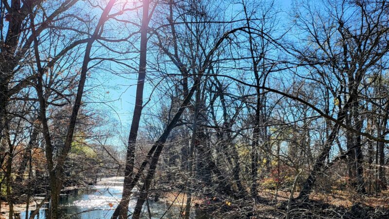 Hershfield Park - Pompton Lakes, NJ