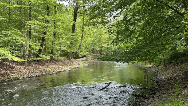 Hershfield Park - Pompton Lakes, NJ