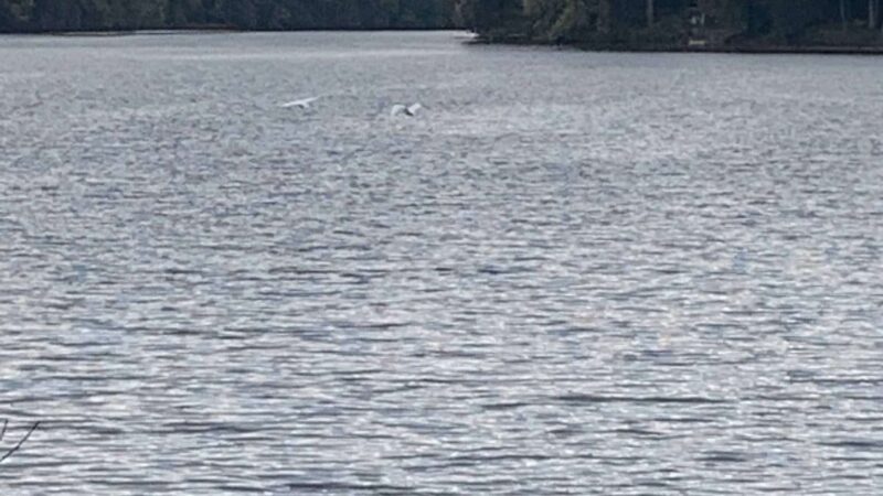 Lakeside Park - Pompton Lakes, NJ