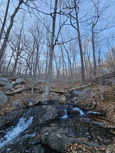 Mountainside Park - Pompton Plains, NJ