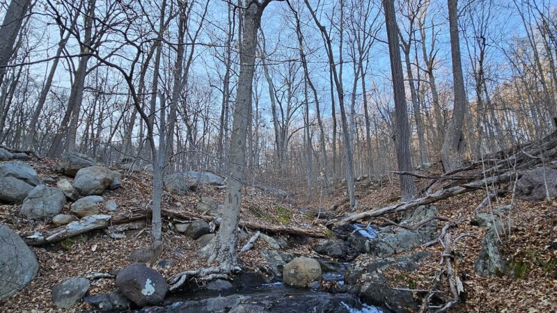 Mountainside Park - Pompton Plains, NJ