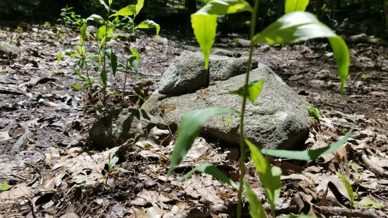 Mountainside Park - Pompton Plains, NJ