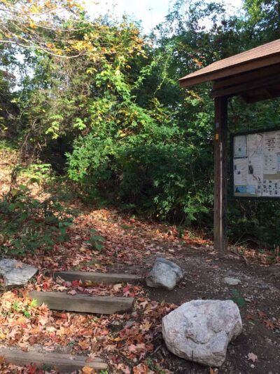 Mountainside Park - Pompton Plains, NJ