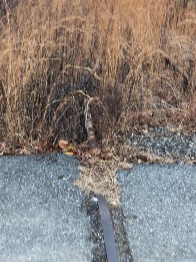 NYS&W Railway Bicycle and Pedestrian Path Access - Pompton Plains, NJ