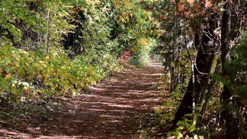 Trailhead for Pend d'Oreille Bay Trail - Ponderay, ID