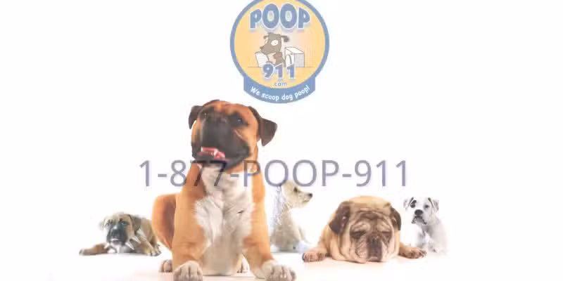 POOP 911 Westchester - ,